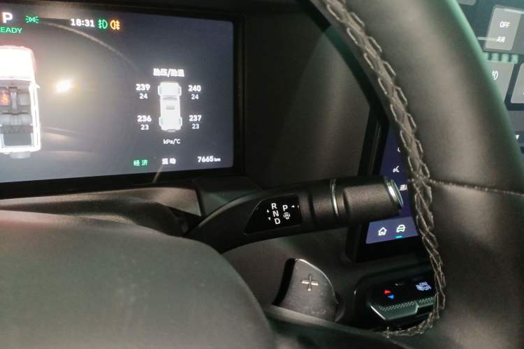 Used Tank 300 New Energy 2025 Hi4-T
