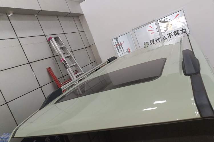 Used Tank 300 2024 2.0T Crosser
