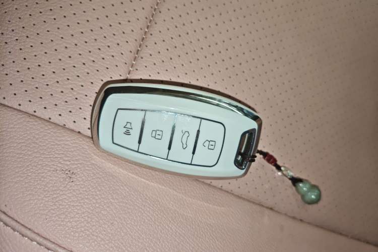 Used ORA Black Cat 2022 Updated Version 301 km Cute Pet Edition Lithium Iron Phosphate