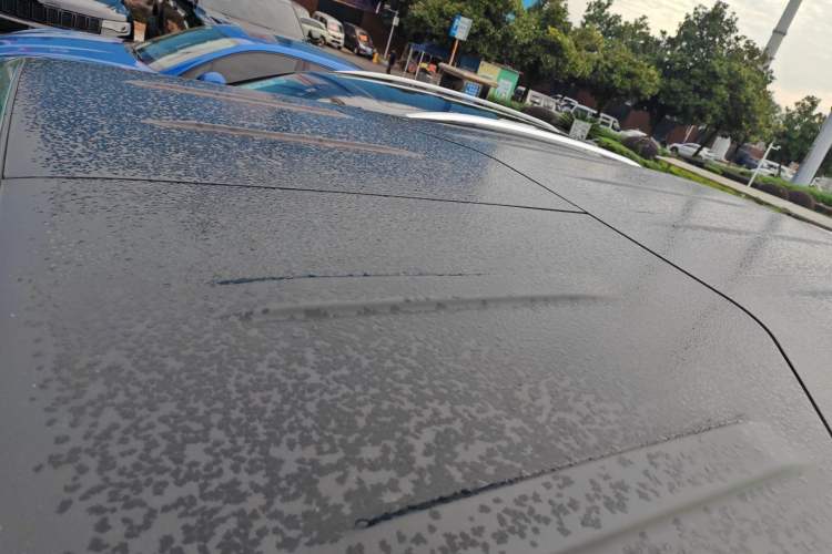 Used Beijing Auto BJ40 2020 2.3T Automatic Four-Wheel Drive Rainforest Expedition Edition