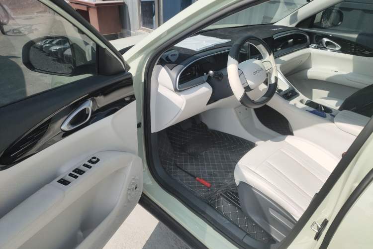 Used  Geome 2026 Model 310km Youth Edition
