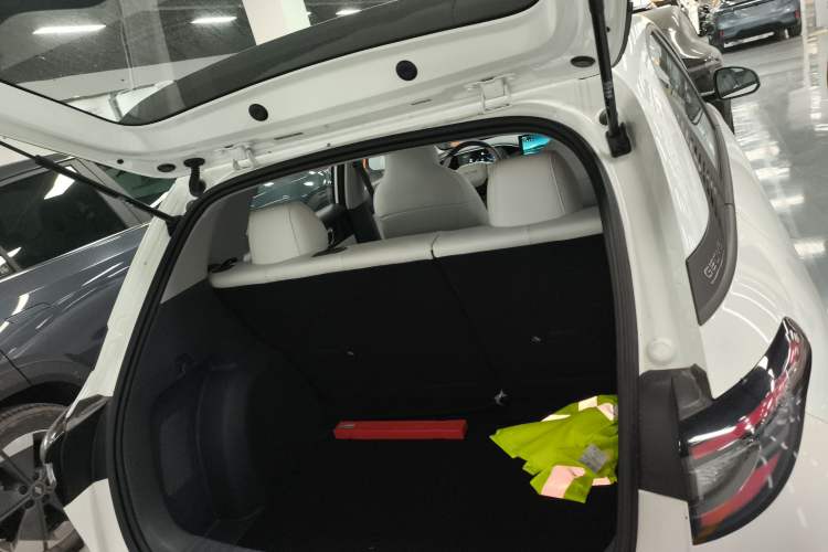 Used  Geome 2025 310km Youth Edition
