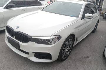 Used BMW 5 Series 2019 530Li Leading Model M Sport Package