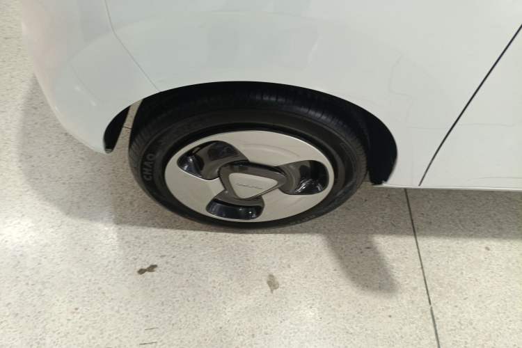 Used  Panda 2023 Panda Mini 200km Dynamic Bear
