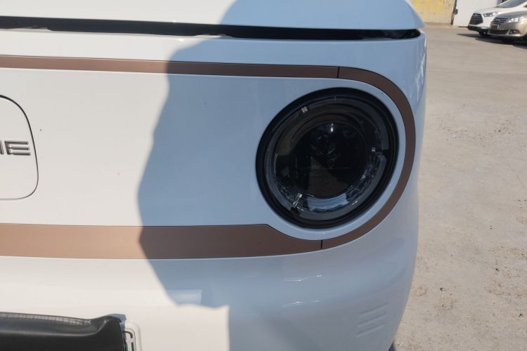 Used  Panda 2024 Panda Mini 200km Endurance Bear
