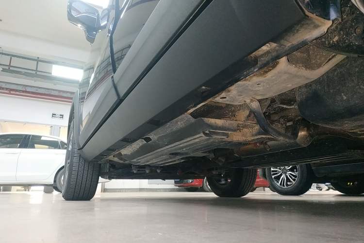 Used Haval DARGO 2024 2.0T DCT Chinese Rural Dog Edition