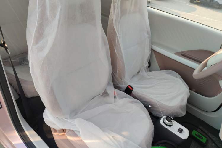 Used  Panda 2025 210 km – Yuanqi Bear
