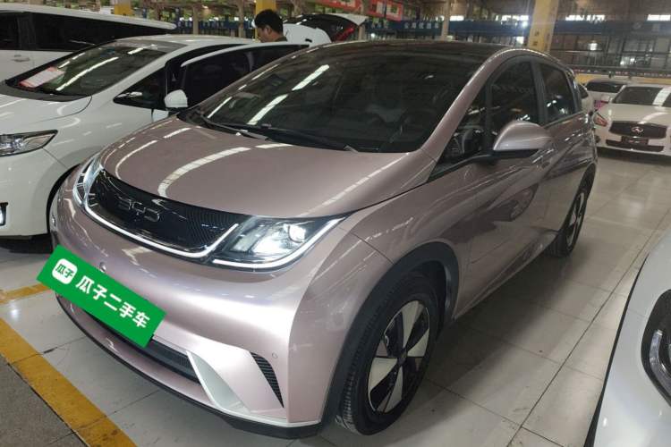 Used BYD Dolphin 2023 500 000th Anniversary Edition Pro
