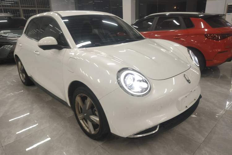 Used ORA Good Cat 2021 400km Standard Range Athena Edition Lithium Iron Phosphate
