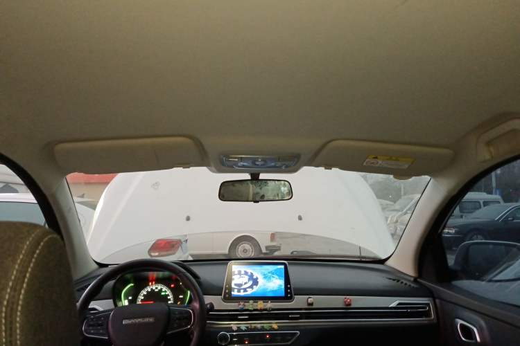 Used Dayun Yuehu 2022 300 Standard Edition
