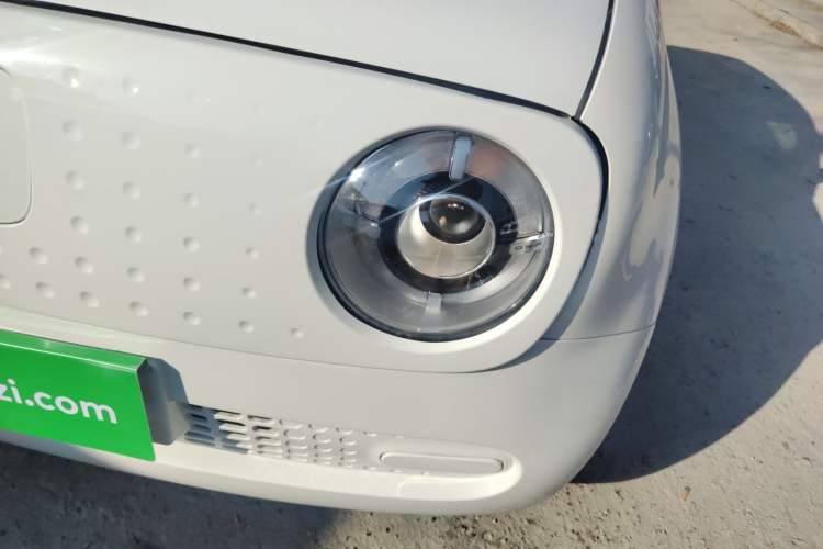 Used ORA Black Cat 2019 310km Fun Edition