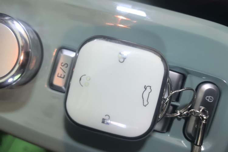 Used Qiyuan Lumin 2024 301km Launch Edition
