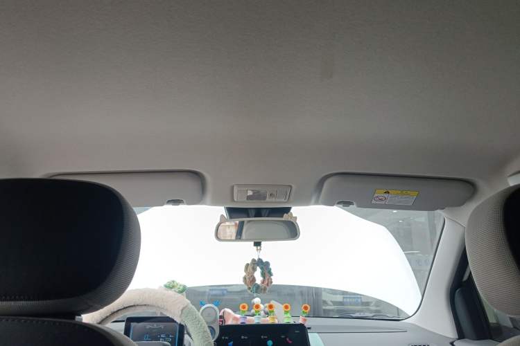 Used Qiyuan Lumin 2023 205km Xiangqin Version
