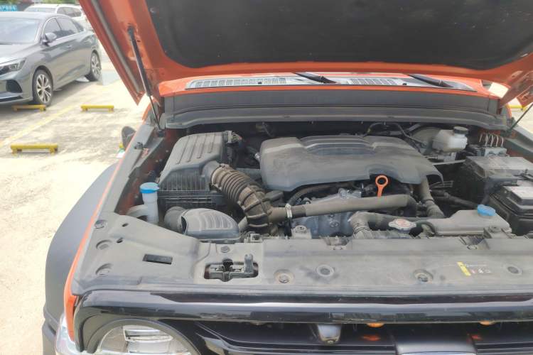 Used Tank 300 2023 Off-Road Edition 2.0T Conqueror
