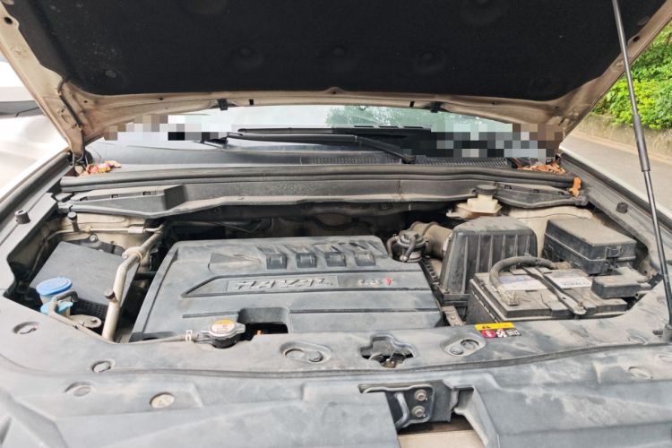 Used Haval H6 Coupe 2016 Blue Label 1.5T Automatic Two-Wheel Drive Elite Model
