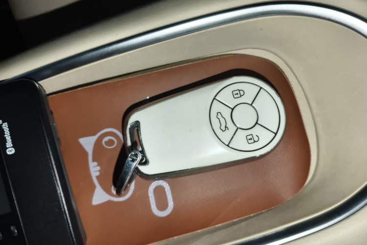 Used ORA Good Cat 2023 401 km Standard Range Luxury Version Lithium Iron Phosphate
