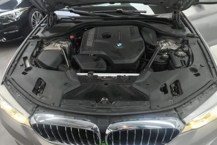 Used BMW 5 Series 2018 530Li Luxury Edition Premium Package
