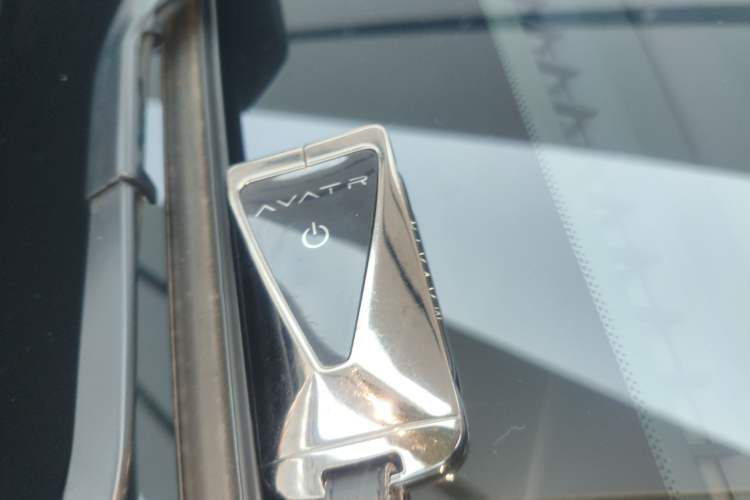 Used  07 2024 Max Pure Electric Edition
