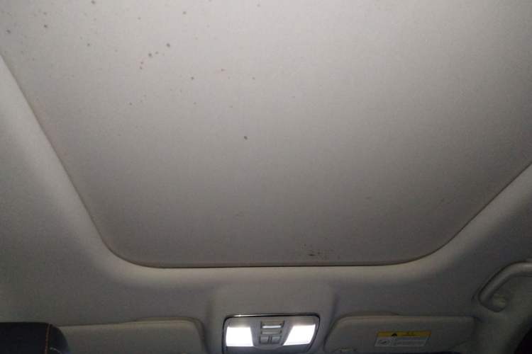 Used Oshan X7 2020 1.5T Automatic Pilot Edition