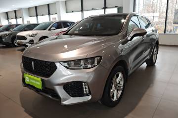 Used Wey VV5 2019 1.5T Two-Wheel Drive Color Pioneer