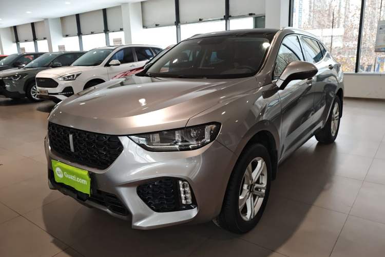 Used Wey VV5 2019 1.5T Two-Wheel Drive Color Pioneer