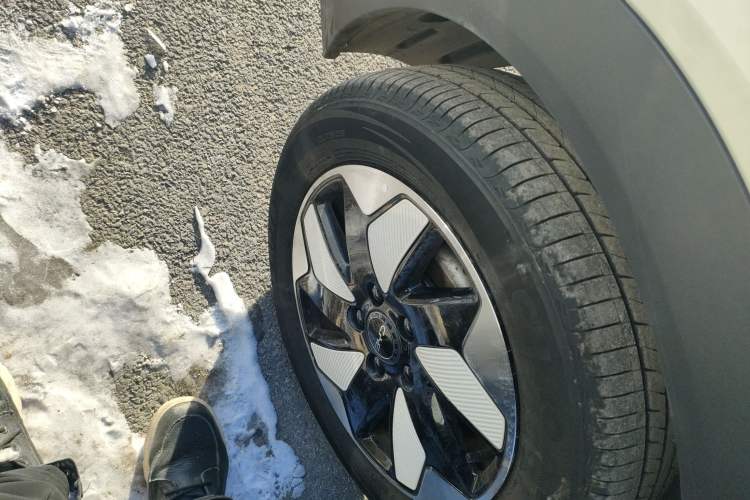 Used BYD Dolphin 2024 Honor Edition 420km Fashion Version