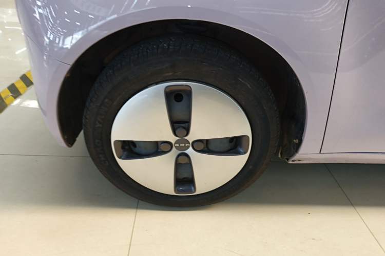 Used ORA Black Cat 2021 301 km Basic Version