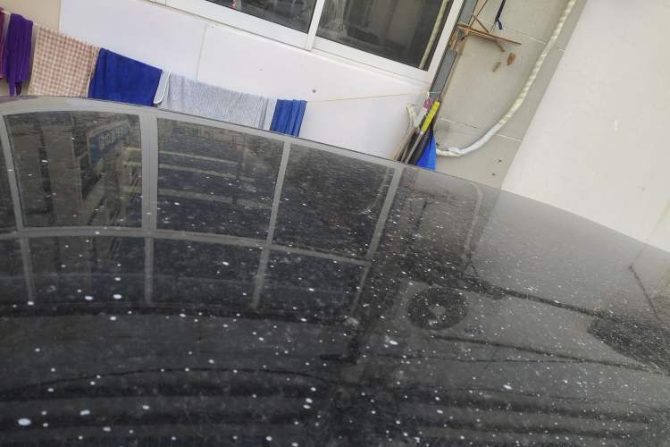 Used ORA Good Cat 2022 400km Standard Range Luxury Version Lithium Iron Phosphate