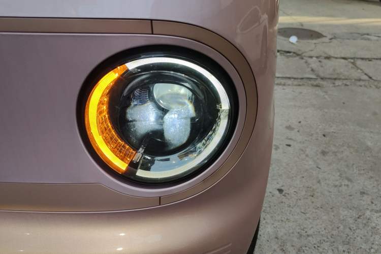 Used  Panda 2024 Panda Mini 200km Endurance Bear
