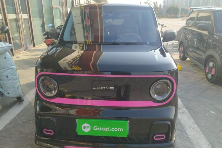 Used  Panda 2024 200km Panda Kart
