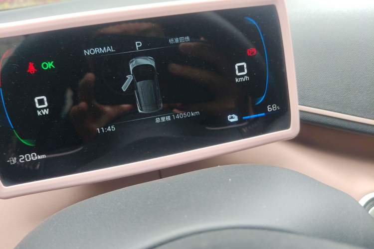 Used BYD Seagull 2025 305 km Free Version