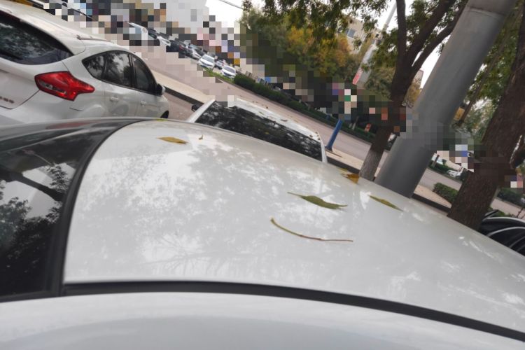 Used Oshan Benni E-Star 2021 National Edition Xinyue Version (Fast-Charging Edition) Lithium NMC
