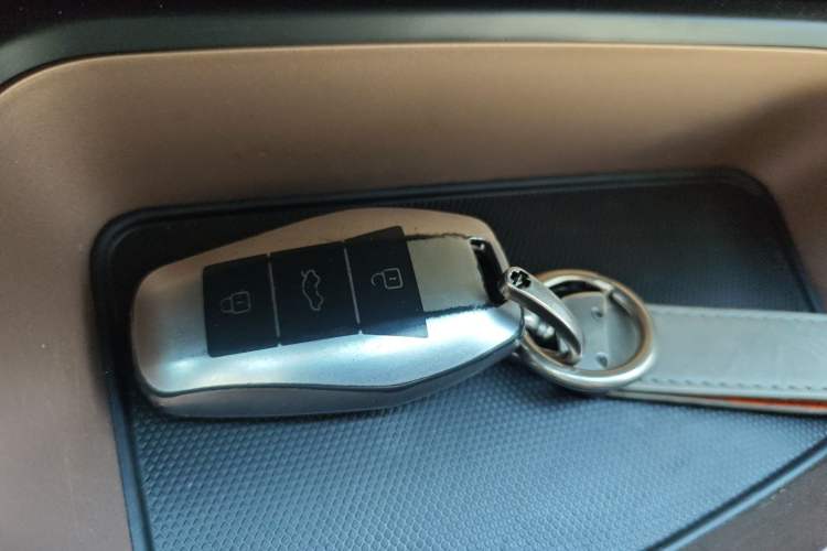 Used SOL E10X 2022 Flower Fairy Design Four-Leaf Clover