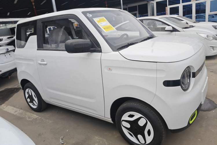 Used  Panda 2025 210 km – Yuanqi Bear
