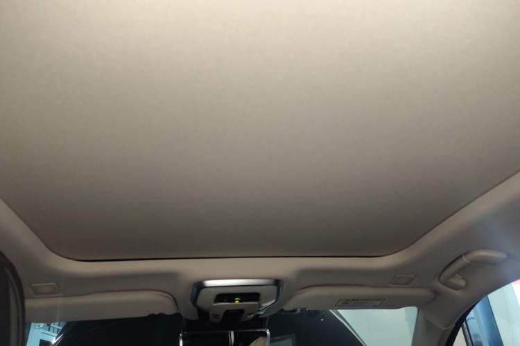 Used Hongqi H9 2020 2.0T Smart Connect Flagship Edition
