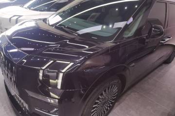 Used Zeekr 009 2022 WE Edition