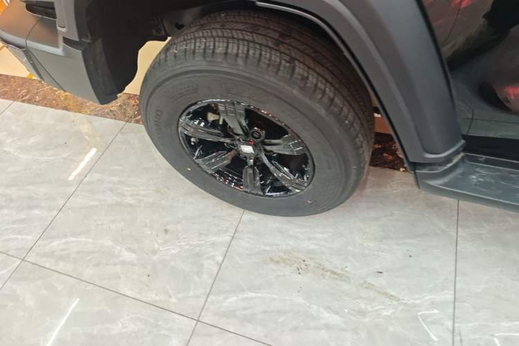 Used Tank 300 2024 2.0T Conqueror