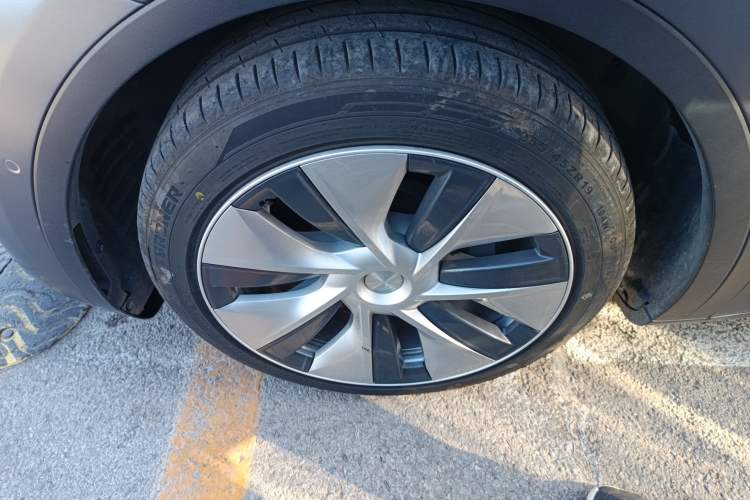 Used Tesla Model Y 2021 Standard Range Rear-Wheel Drive Version
