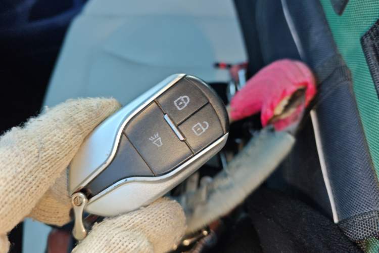 Used  Ruisheng Ace M7 2025 2.0L Automatic Long Wheelbase Luxury Version 7 Seats
