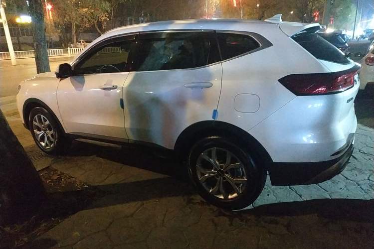 Used Haval H6 2021 National Trend Edition 1.5T Automatic Champion Version