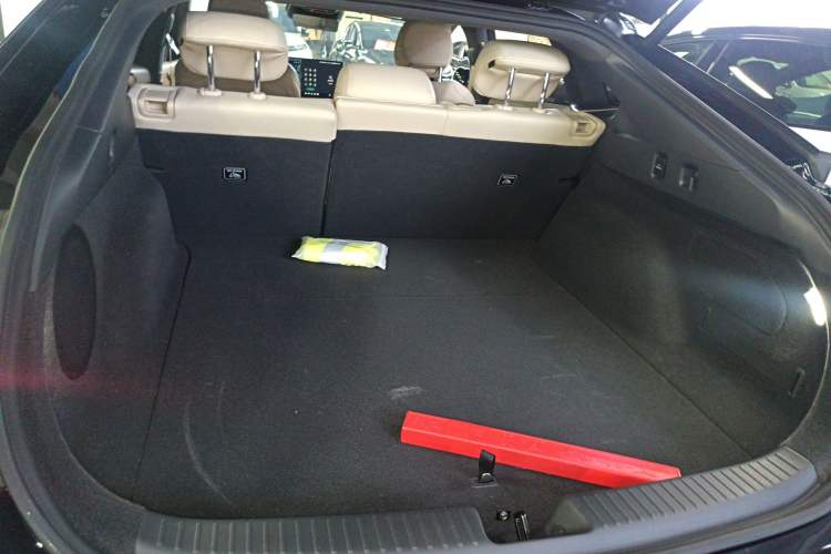 Used XPeng P7+ 2024 Long-Range Max
