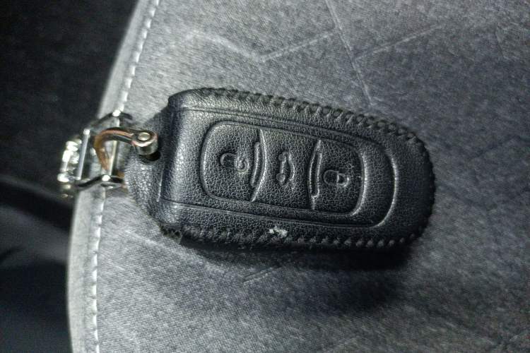 Used  Panda 2023 Panda Mini 200km Endurance Bear