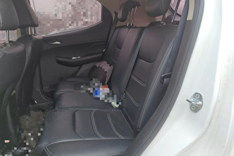 Used BYD Yuan New Energy 2019 EV535 Smart Connect Trendsetting Model