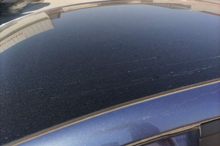 Used BYD Dolphin 2024 Honor Edition 420km Fashion Version
