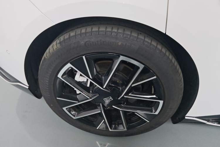 Used  06 2025 Ultra Pure Electric Edition
