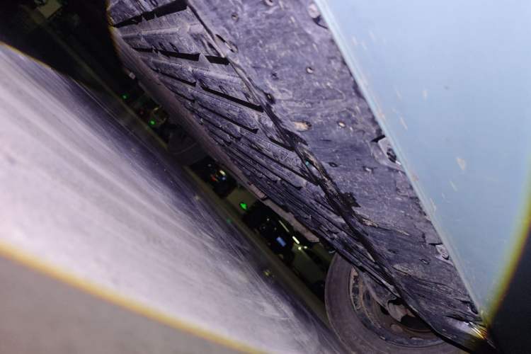 Used  Panda 2024 Panda Mini 200km Endurance Bear