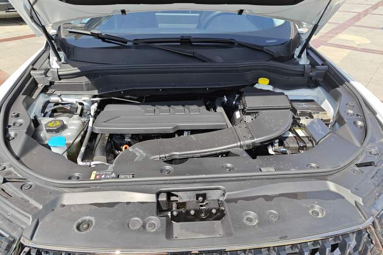 Used Haval H6 2023 National Trend Edition 1.5T Automatic Urban Version
