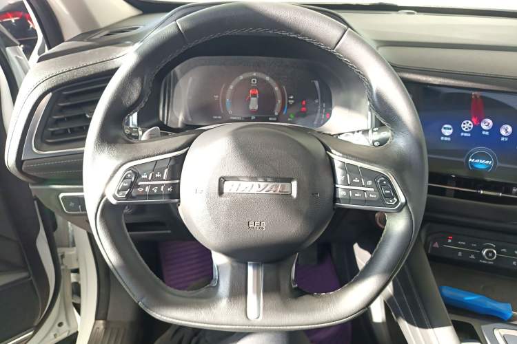 Used Haval F7 2019 2.0T Two-Wheel-Drive i-Van China VI Standard
