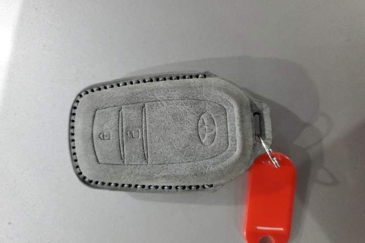 Used Toyota Wildlander 2023 Dual-Motor 2.5L E-CVT Two-Wheel Drive Luxury PLUS Edition