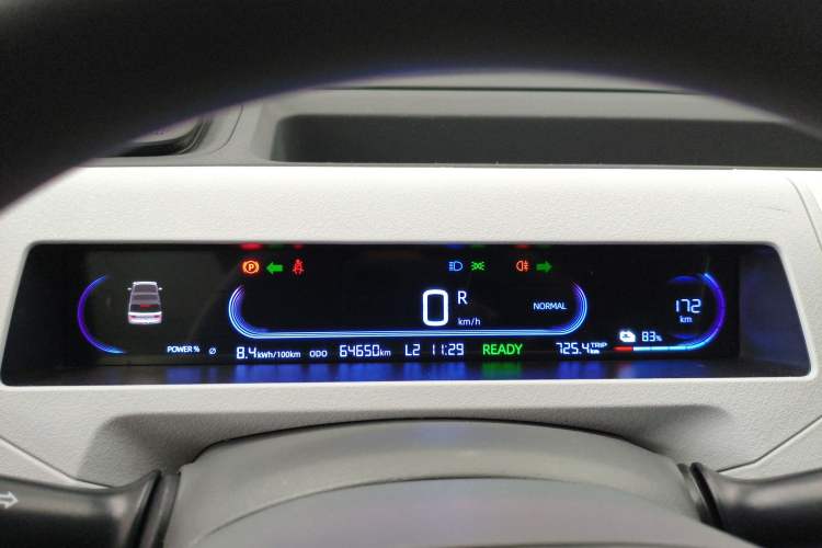 Used  Panda 2023 Panda Mini 200km Endurance Bear